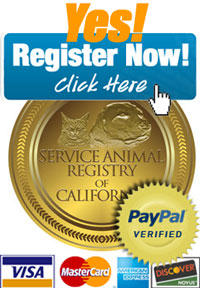 Register today! Valid in all 50 . states - Service Animal Registry of  CaliforniaService Animal Registry of California