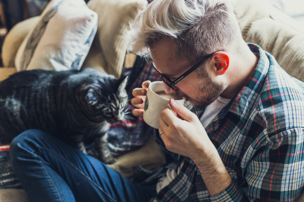 accommodation assistance animal