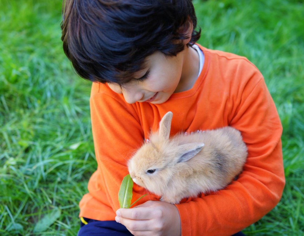 animals good for kids