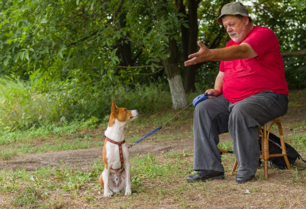 assistance animal question