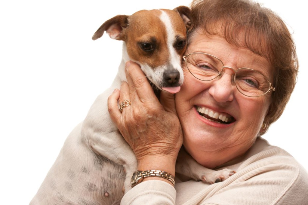 employee and assistance animal