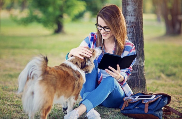 Can Landlords Hotels And Property Managers Allow Therapy Animals To