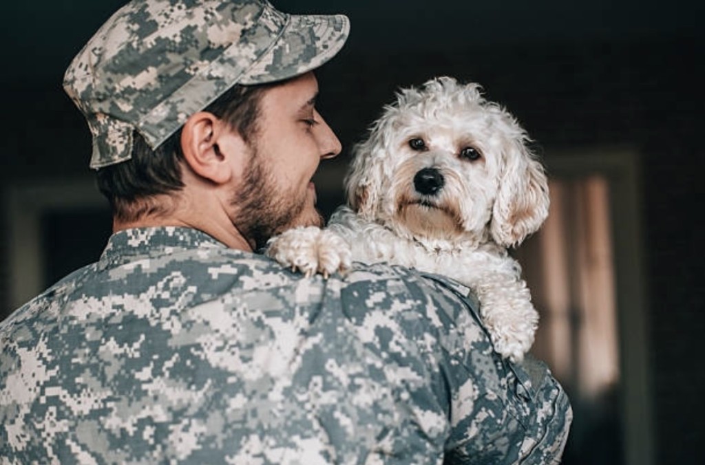 dog and veteran