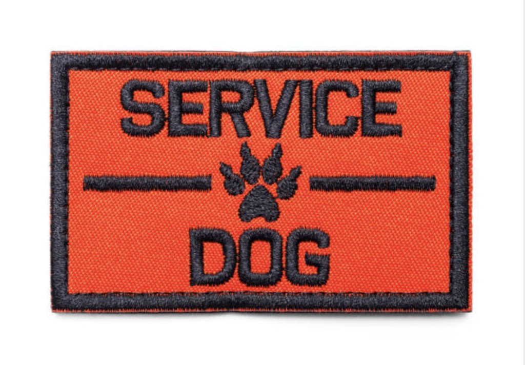 service dog