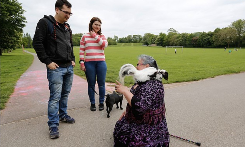 pet skunk
