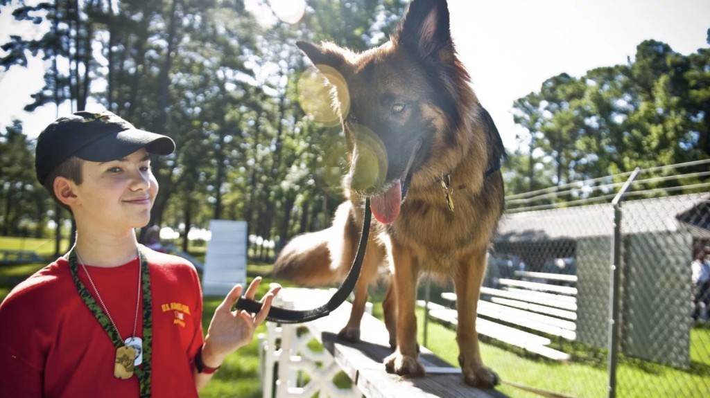 seizure response dog