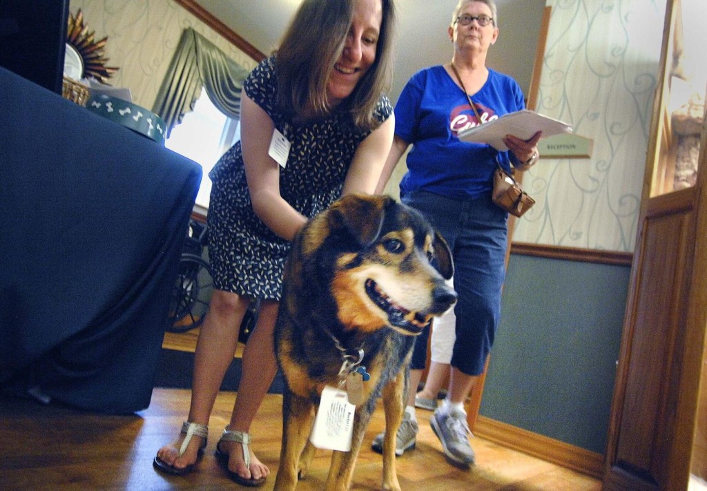 therapy dog charlie