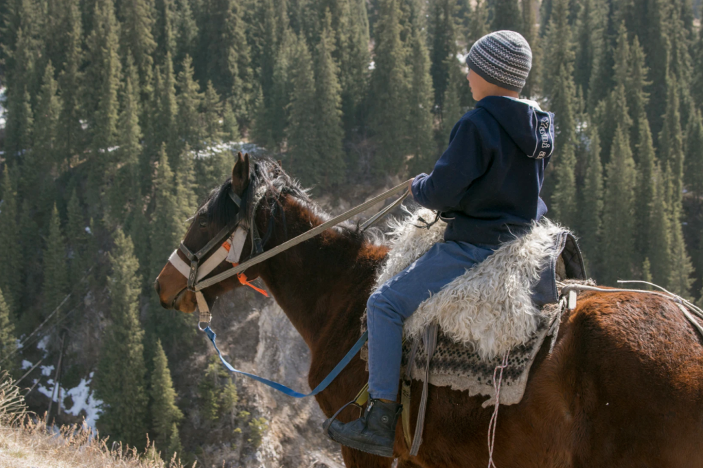 horse therapy