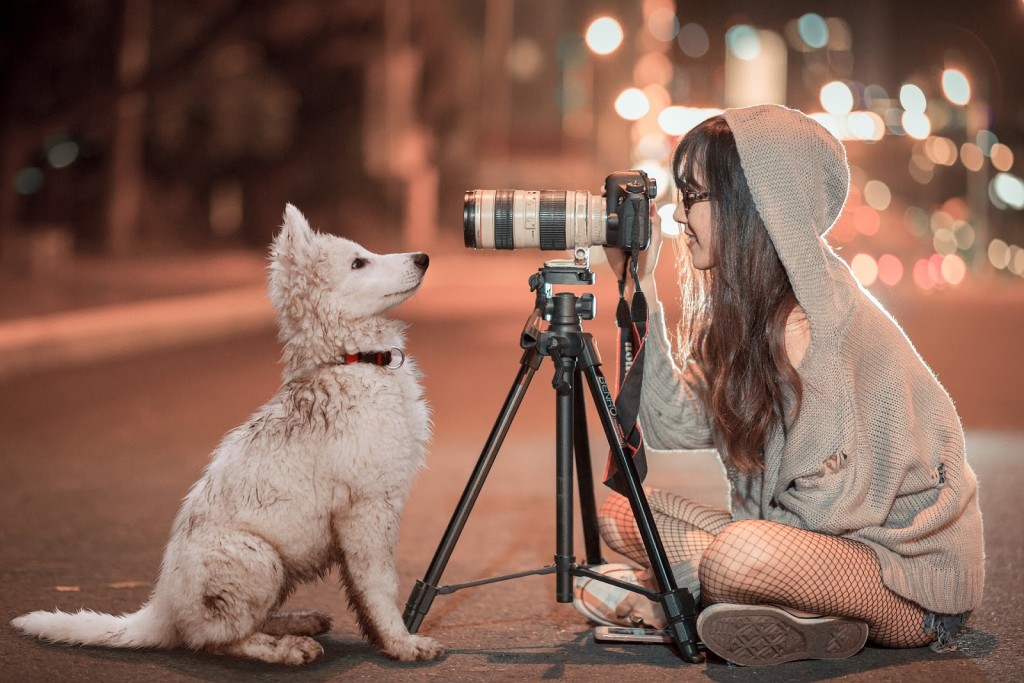 pet therapy videos