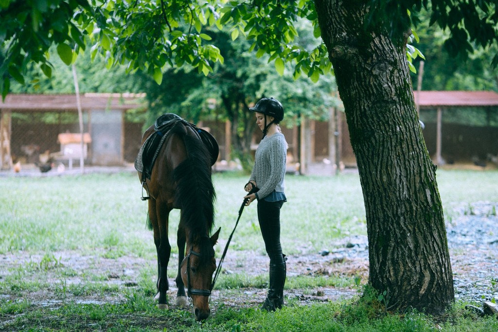 woman and horse