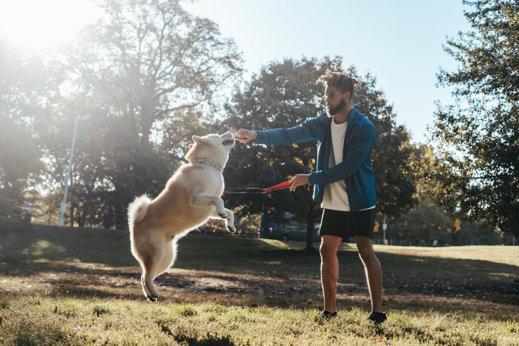 active dog and owner