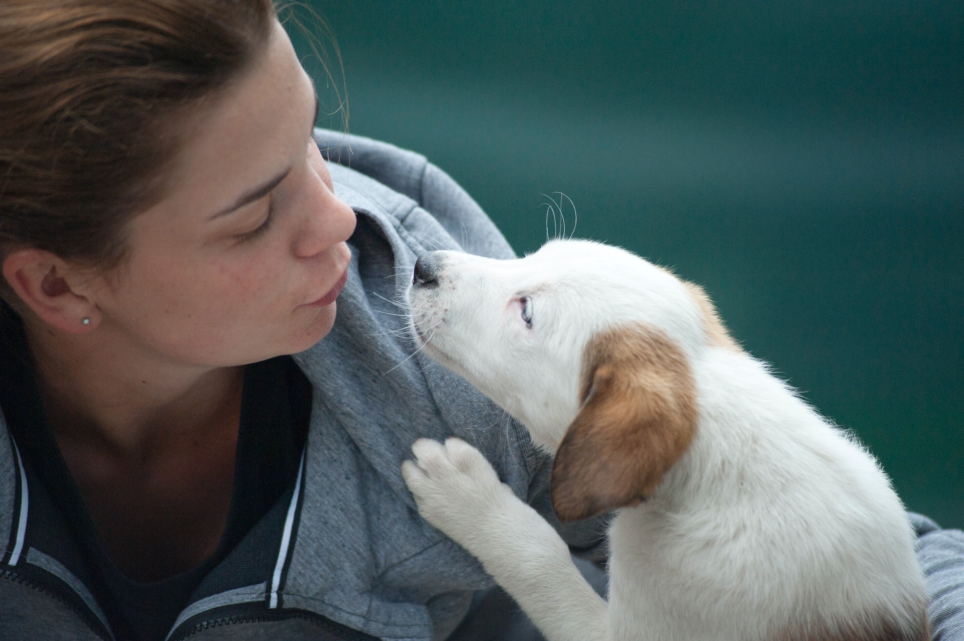 Therapy Dog Saves Womans Life By Keeping Her From Jumping Off A Bridge