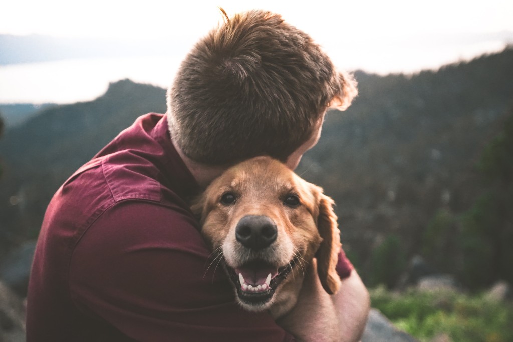 man and dog