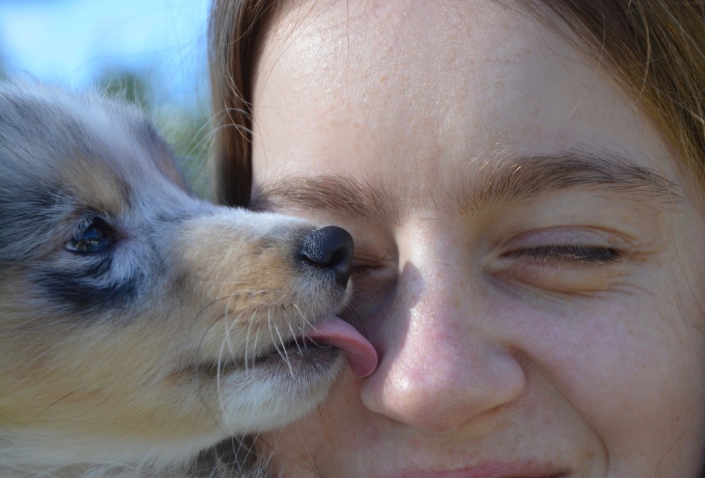 lick hooman