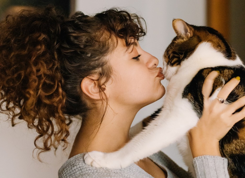 kiss cat