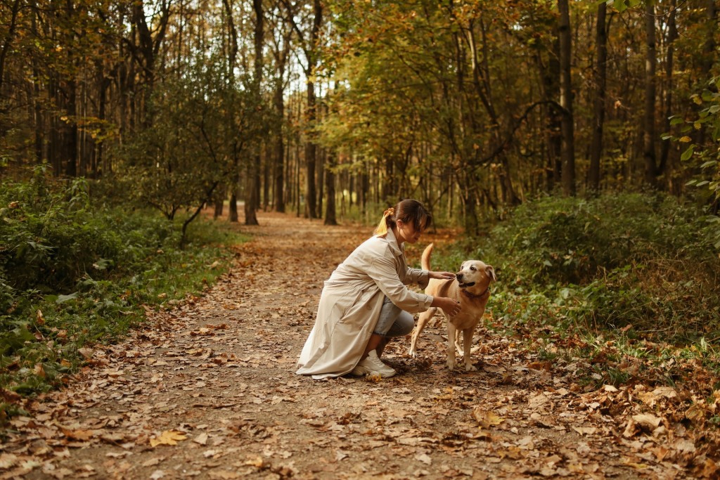 puppy and vet