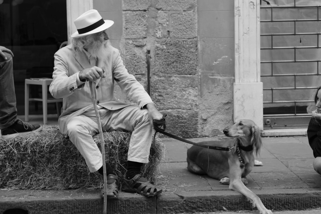 dementia service dogs