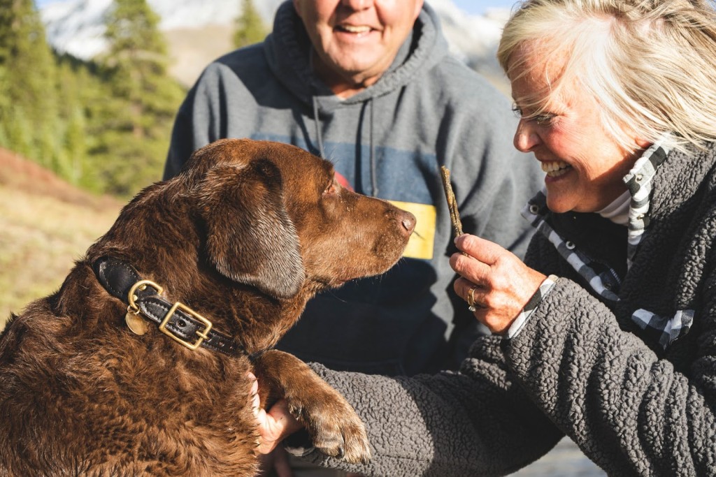 hearing dogs cover